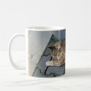 Spipande katt kaffemugg