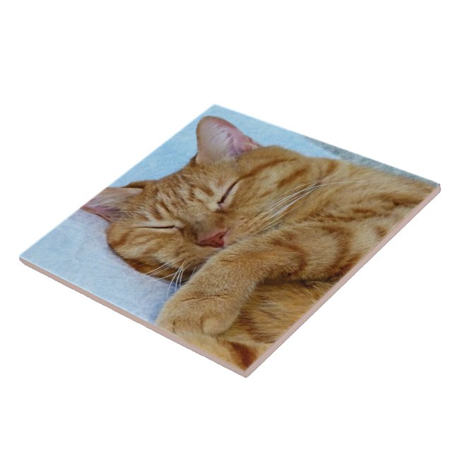 Spipande katt kakelplatta (Sidan)