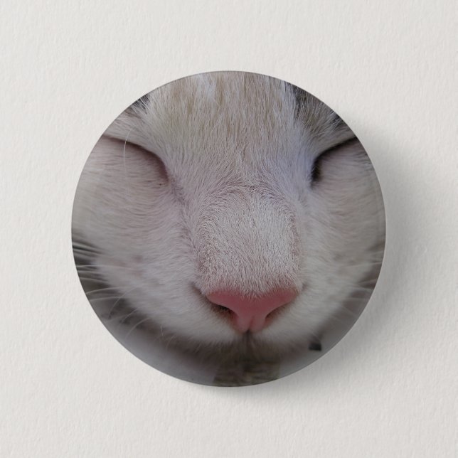 Spipande katt knapp (Framsida)