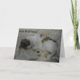 Spipande katt kommer snart, kort nummer 2