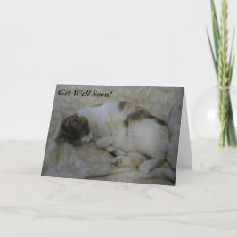 Spipande katt kommer snart, kort nummer 2