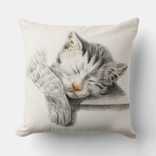 Spipande katt kudde (Framsida)
