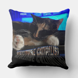 Spipande katt kudde