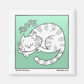 Spipande katt magnet