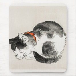 Spipande katt musmatta