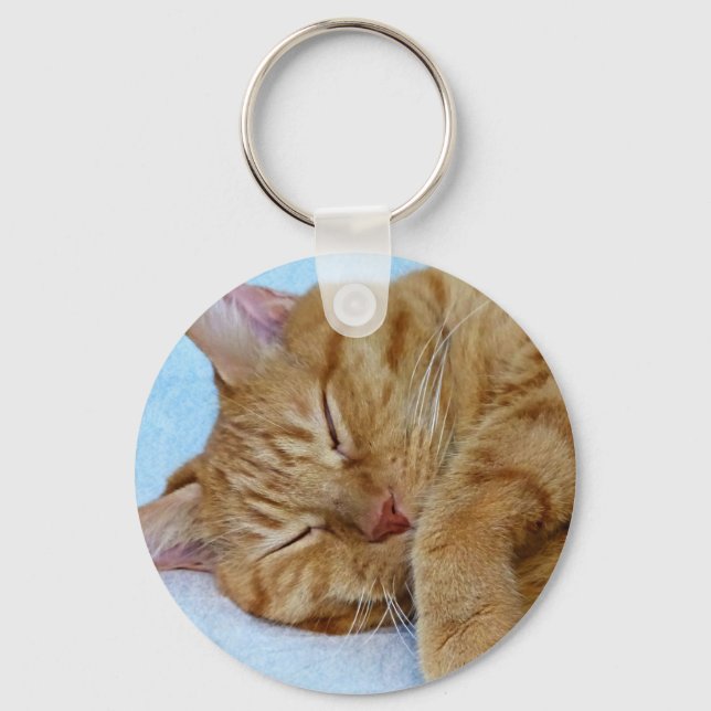 Spipande katt nyckelring (Framsida)
