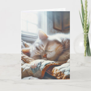 Spipande katt på gammal katt kort
