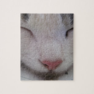Spipande katt pussel