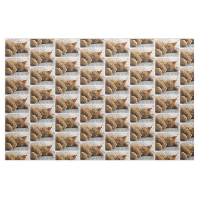 Spipande katt tyg (Fat Quarter)