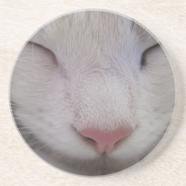 Spipande katt underlägg (Framsidan)