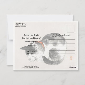 Spipande katt vykort