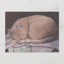 Spipande Kattunge Art-vykort Vykort