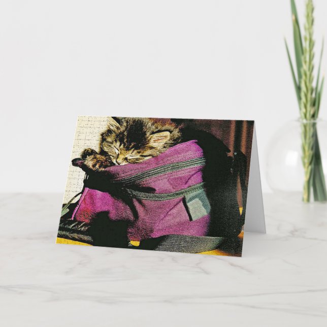 Spipande kattunge i Anpassningsbar Kort (Framsida)