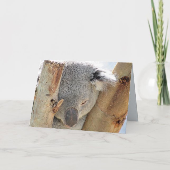 Spipande Koala-hälsningskort Kort (Framsida)