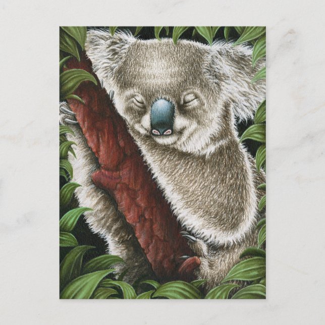 Spipande Koala-vykort Vykort (Framsida)