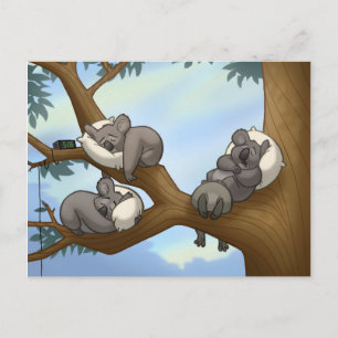 Spipande Koala-vykort Vykort