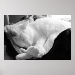 Spipande kvadrat poster