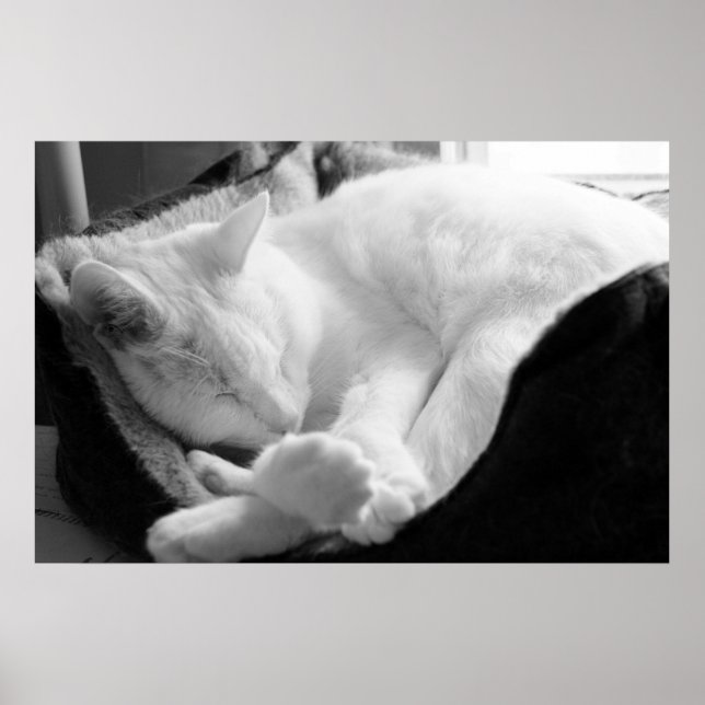 Spipande kvadrat poster (Framsidan)