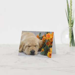 Spipande labrador med blommor anteckningskort