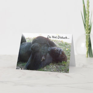 Spipande lågland Gorilla stör inte Kort