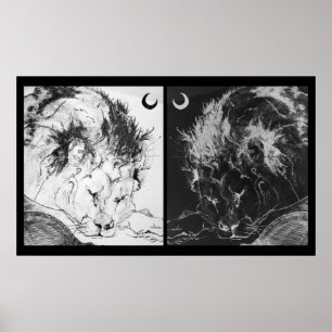 Spipande Lejon: Yin & Yang Poster