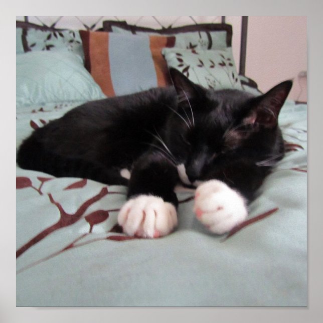 Spipande Lucy Poster (Framsidan)