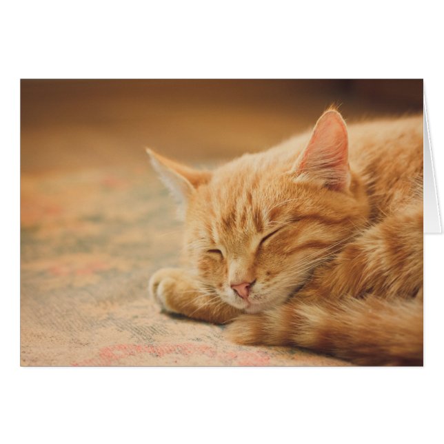Spipande Orange Tabby katt OBS Kort (Framsidan Horizontal)