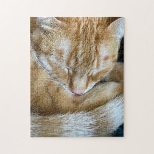 Spipande orange tabby katt pussel