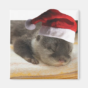 Spipande Otter Magnet