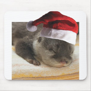 Spipande Otter Musmatta