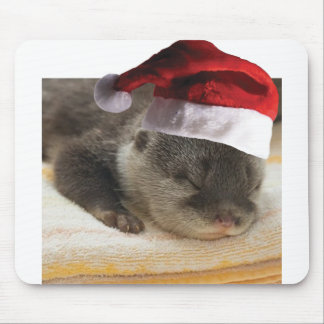 Spipande Otter Musmatta