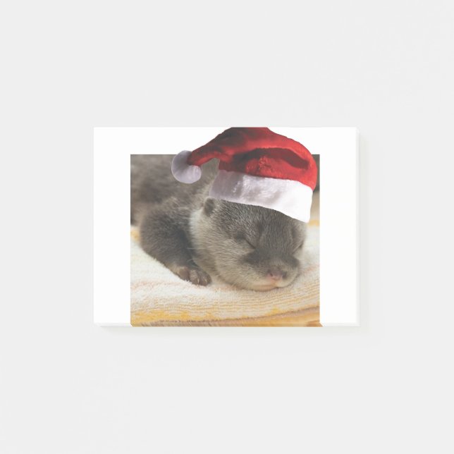 Spipande Otter Post-it Block (Framsida)