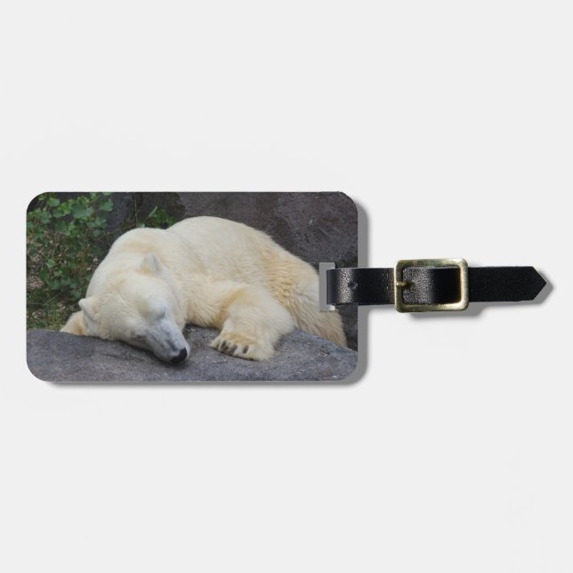 Spipande Polar Björn Bagagebricka (Horisontell Framsida)