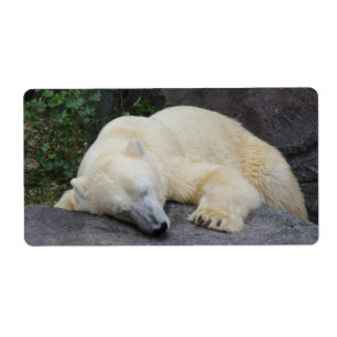 Spipande Polar Björn Fraktsedel