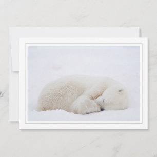 Spipande Polar Björn Julkort