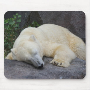 Spipande Polar Björn Musmatta