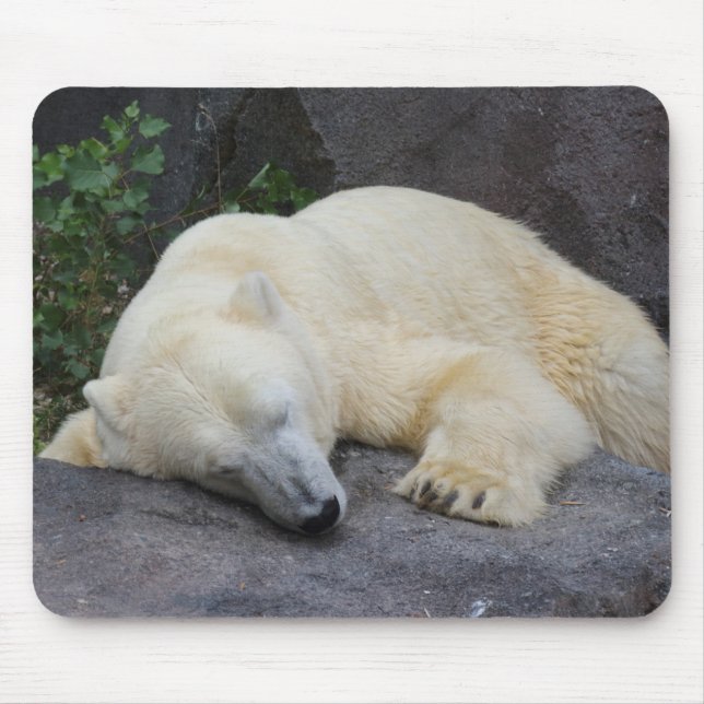 Spipande Polar Björn Musmatta (Framsidan)