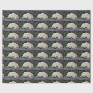 Spipande Polar Björn Presentpapper