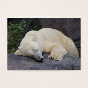 Spipande Polar Björn Visitkort