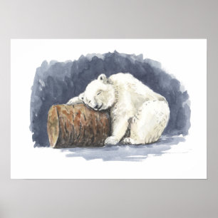 Spipande polar, vattenfärgskonst poster