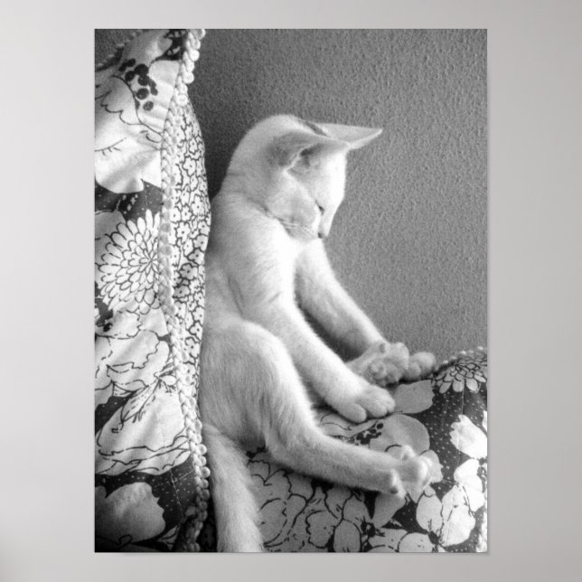 Spipande Poster (Framsidan)