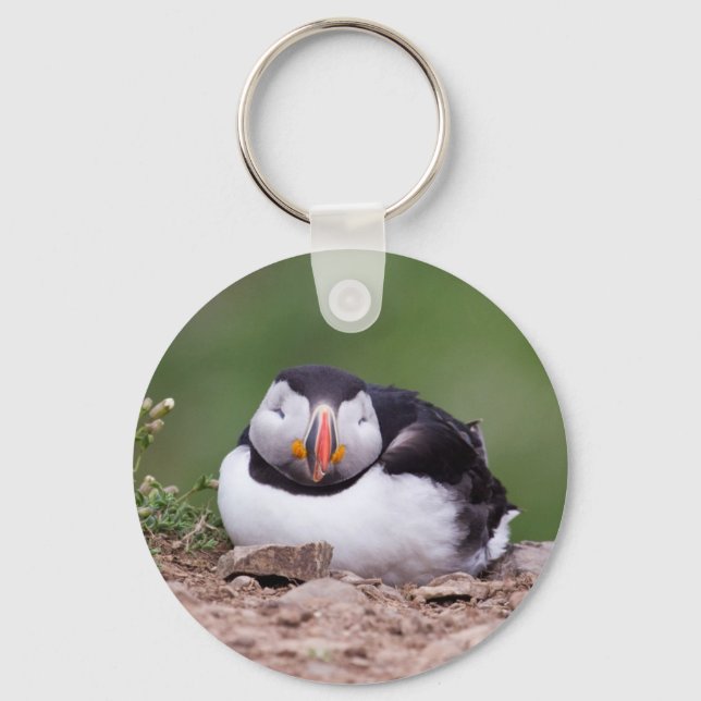 Spipande Puffin Nyckelring (Framsida)