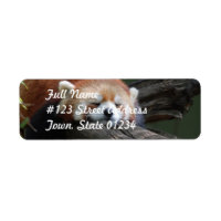 Spipande Red Panda Returadress Mailing Label