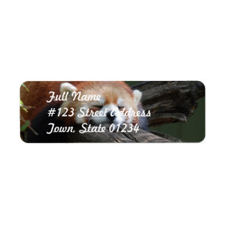 Spipande Red Panda Returadress Mailing Label Etikett