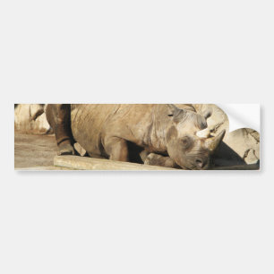 Spipande Rhino Bildekal