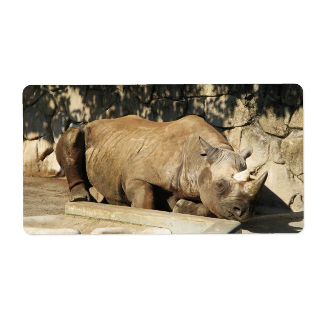 Spipande Rhino Fraktsedel (Framsidan)
