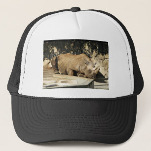 Spipande Rhino Keps