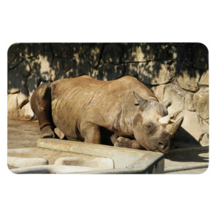 Spipande Rhino Magnet