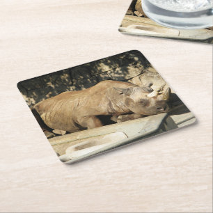 Spipande Rhino Underlägg Papper Kvadrat