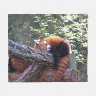 Spipande röd panda fleecefilt